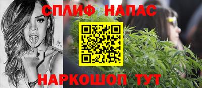 spice Пенза