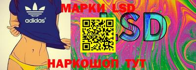 spice Пенза