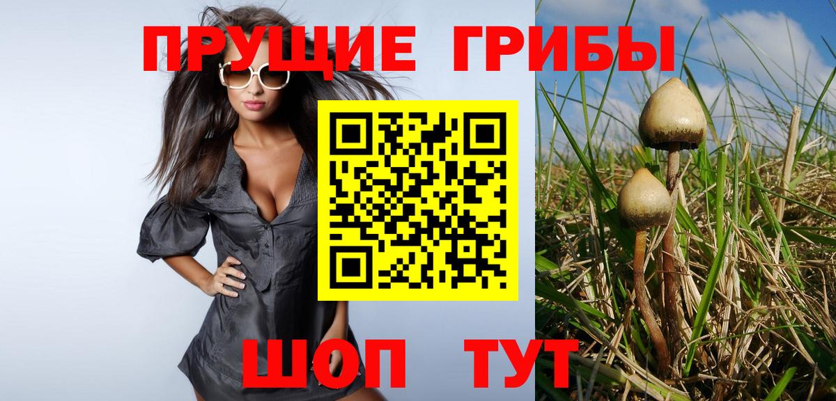 Галлюциногенные грибы прущие грибы  Вход с VPN  Симферополь  Галлюциногенные грибы Magic Shrooms 
