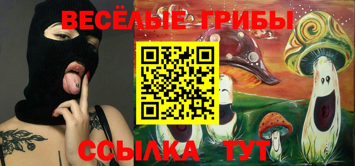 Галлюциногенные грибы Psilocybine cubensis Симферополь